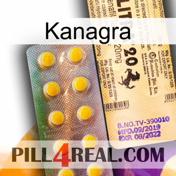 Kanagra new06.jpg